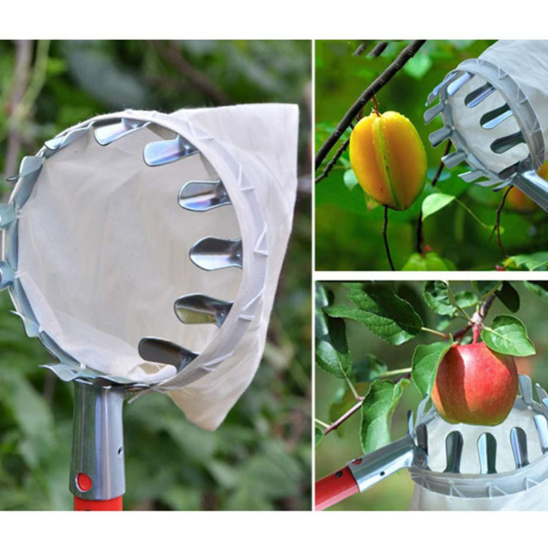 Fruit Picker with Collection Basket – product image
