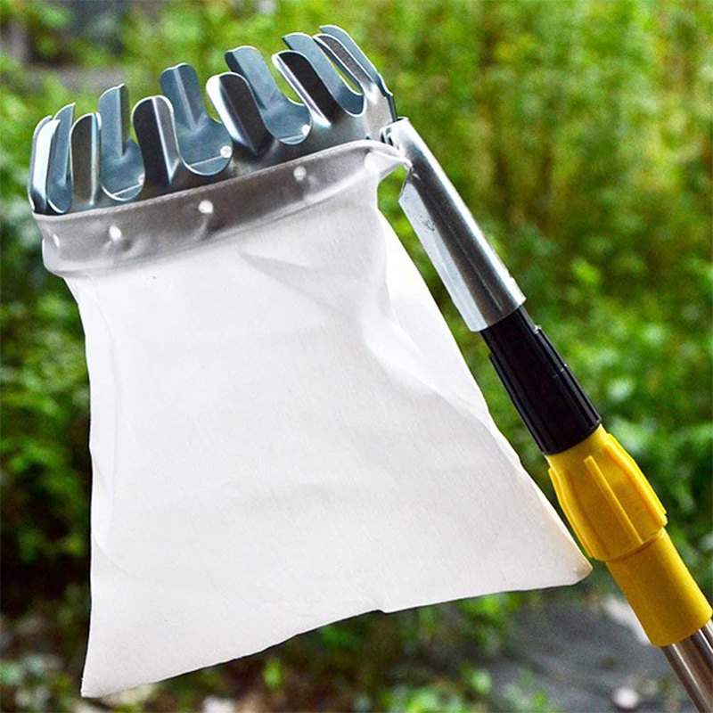 Fruit Picker with Collection Basket – product image