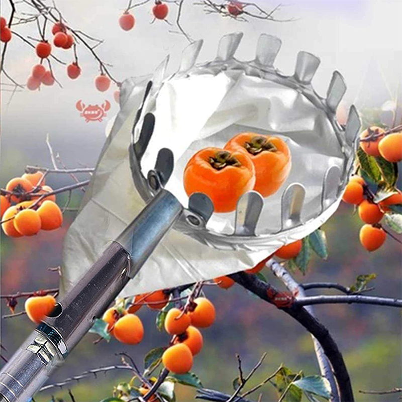 Fruit Picker with Collection Basket – product image