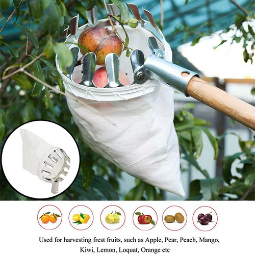 Fruit Picker with Collection Basket – product image