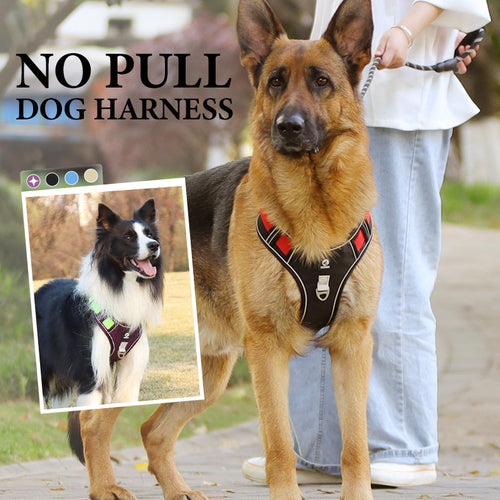 No Pull Dog Harness with Leash & Collar LED