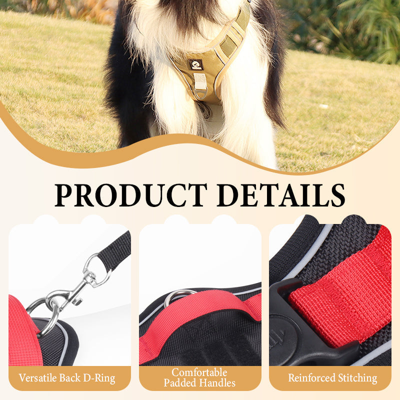 No Pull Dog Harness with Leash & Collar LED