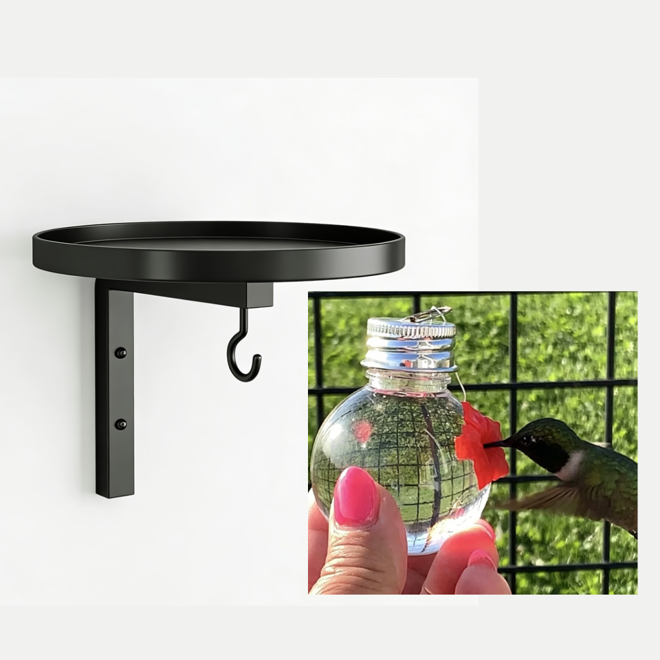 🏡Limited-Time 50% Off – Wall-Mounted Metal Bird Bath – Bronze Finish 🐦🧱🛁