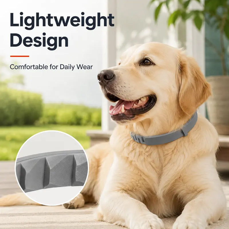 Adjustable Flea & Tick Collars for Dogs & Cats