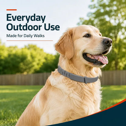 Adjustable Flea & Tick Collars for Dogs & Cats