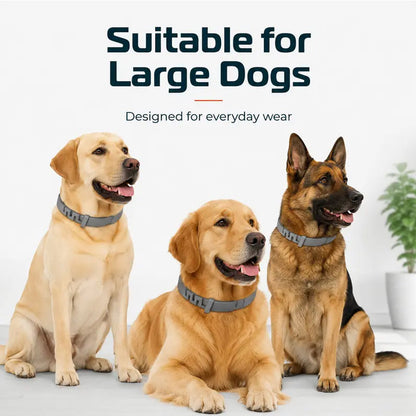 Adjustable Flea & Tick Collars for Dogs & Cats