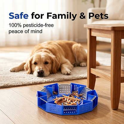 Physical Cockroach Trap Non-Toxic Six-Door Pest Catcher