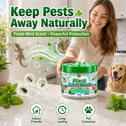 🌿 Natural Gecko Repellent Gel Beads – Mint Pest Deterrent 🦎