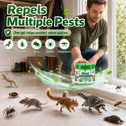 🌿 Natural Gecko Repellent Gel Beads – Mint Pest Deterrent 🦎