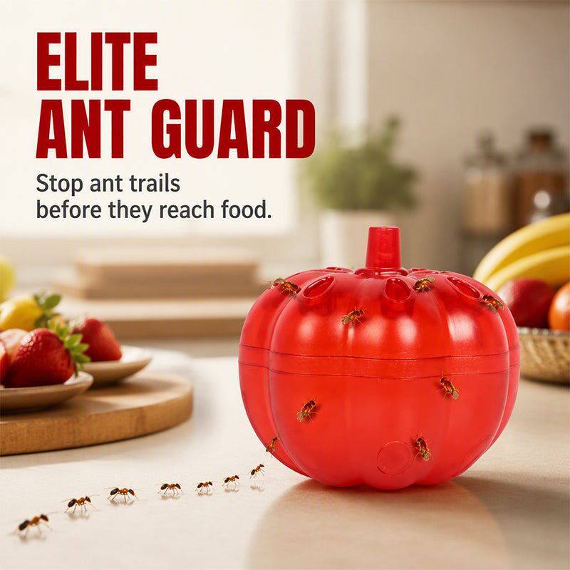 🎃 Pumpkin Fruit Fly Trap | 2/6 Pack