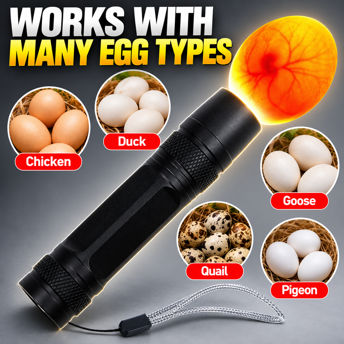 🥚 Rechargeable LED Egg Candler - Cool Light Embryo Inspection Tool 💡