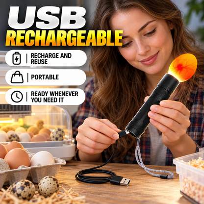 🥚 Rechargeable LED Egg Candler - Cool Light Embryo Inspection Tool 💡