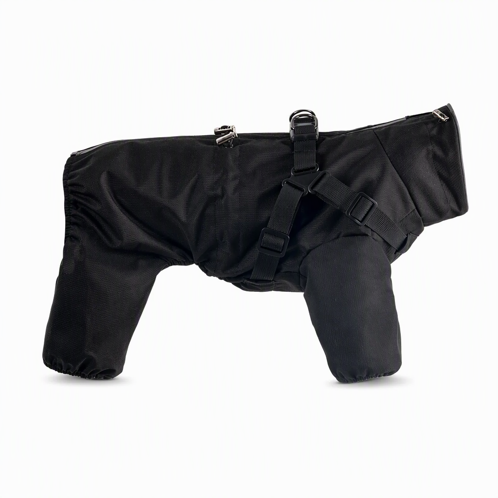 ⏳🔥LIMITED-TIME 50% OFF! ⏰Reflective Waterproof Dog Raincoat with Leash Hole🐶🌧️